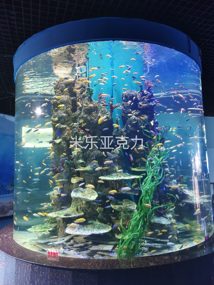 <b>亞克力魚缸：為何是養(yǎng)魚的不二選擇？</b>