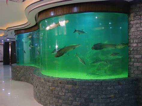 <b>別墅大型魚(yú)缸保養(yǎng)指南</b>