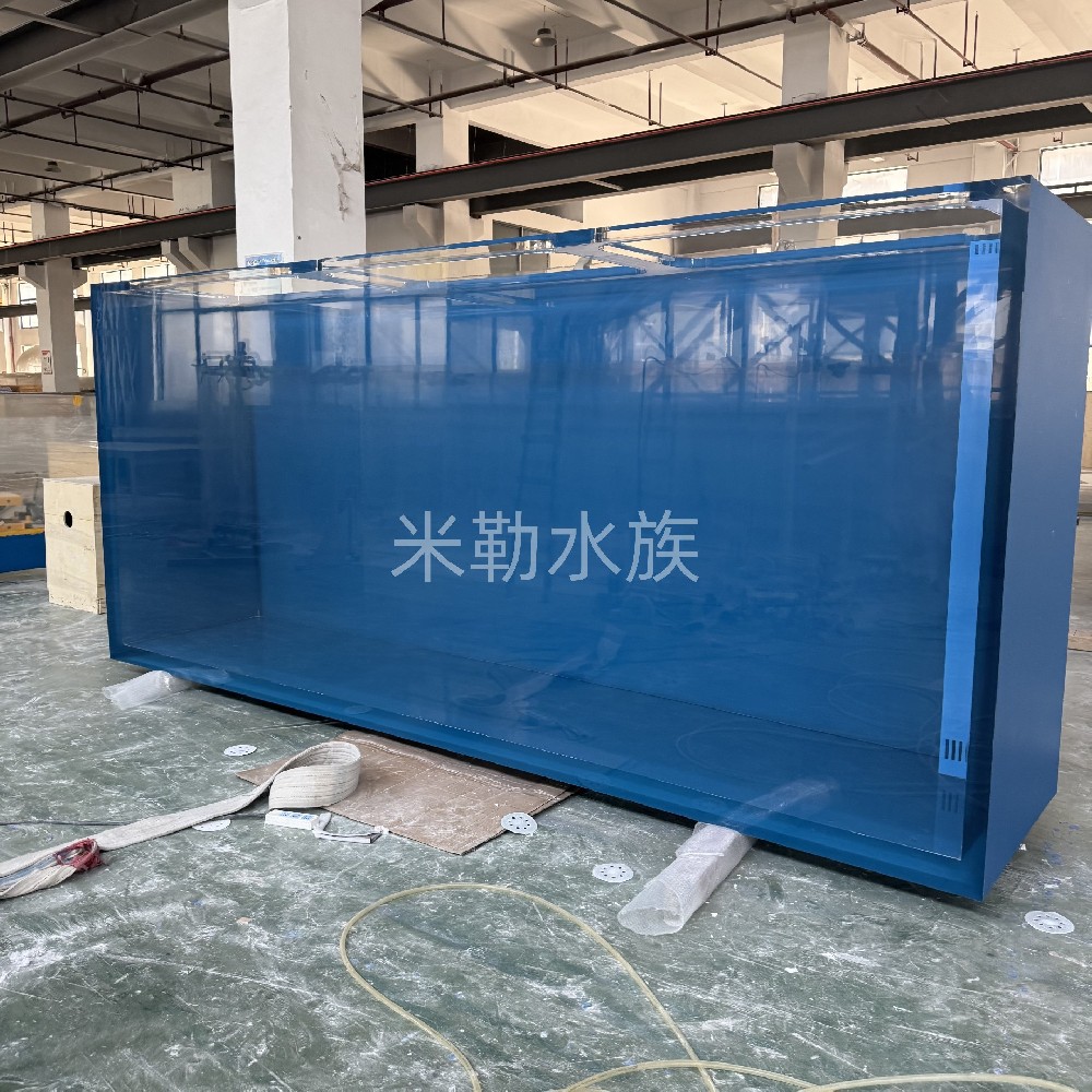 <b>亞克力材料的魚(yú)缸與其他不同,保養(yǎng)方式也有很大不同</b>